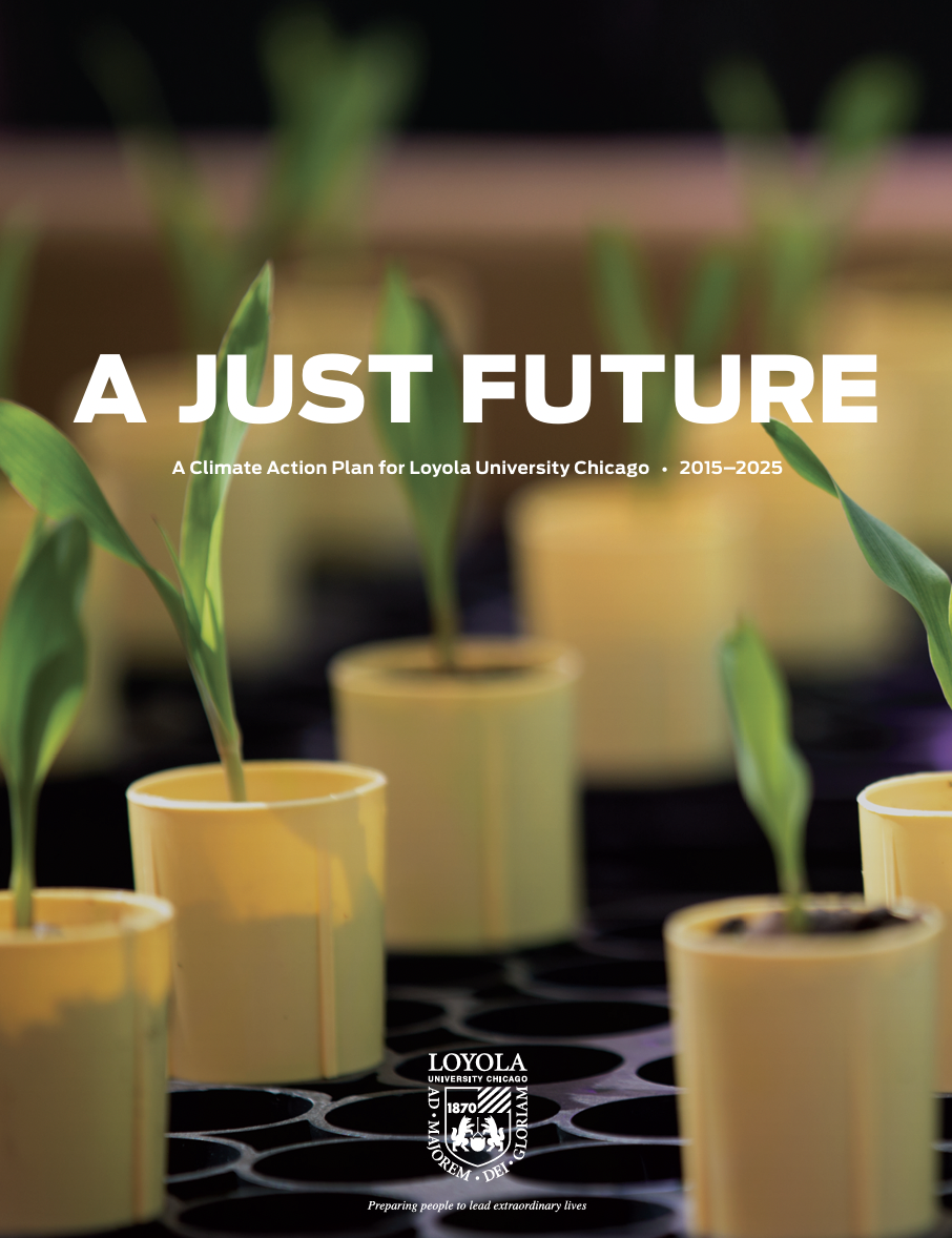 A Just Future PDF